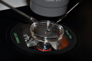 Preimplantation Genetic Screening For All? Is It Wrong To Do Genetic Testing On All IVF Embryos? 1